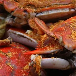 a pile of crabs