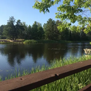 View from the deck.