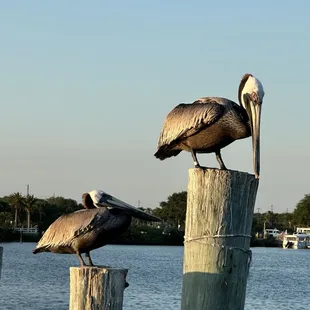 Sites to see off deck