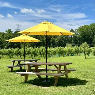 Beautiful scenery while sitting outside.