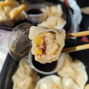 chicken dumplings inside