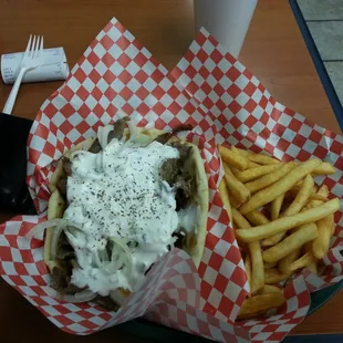 a sandwich and fries