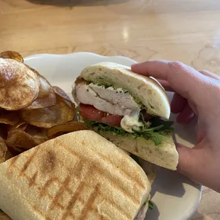 Margarita Chicken Panini