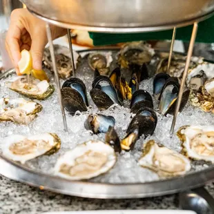 oysters and mussels, oysters, food, mussels, shellfish
