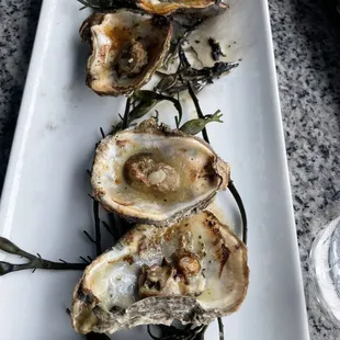 Grilled Oysters