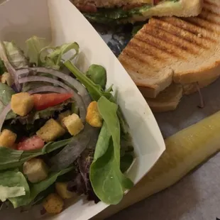 Vegetarian Special Panini and side salad