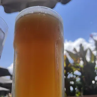 22oz Mango Blond tap ($8.25)