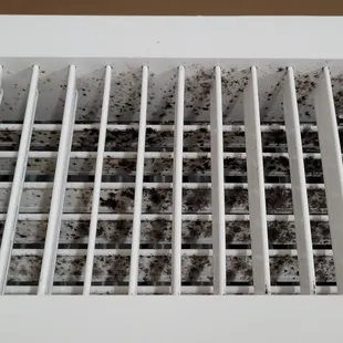 Black mold in vent.