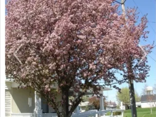 Aunt Martha's House Bed & Breakfast