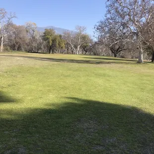 Some tight some open fairways lots of trees