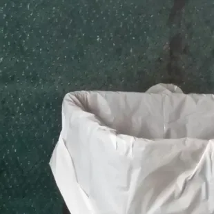 I think this must be the original carpet!