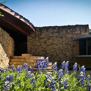 Spring at the Center.
