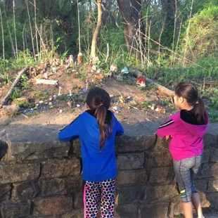 Mini fairy garden along the trail. Must stop and observe this cute display!