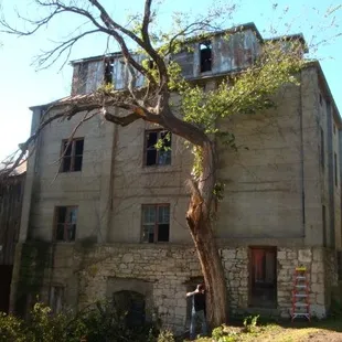 You can see what is left of the canopy and Mitch is back on solid ground.  He's making the first cut of the "V" cut.