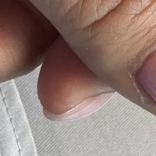 Builder gel round shape