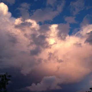 Life Is Delicious M.