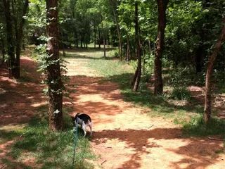 Mitch Park Disc Golf Course