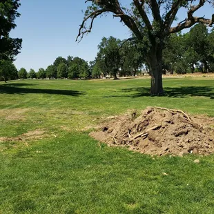 I&apos;ll fix my divots when the course fixes there&apos;s! Oh wait, the containers in the carts are outta sand anyways.