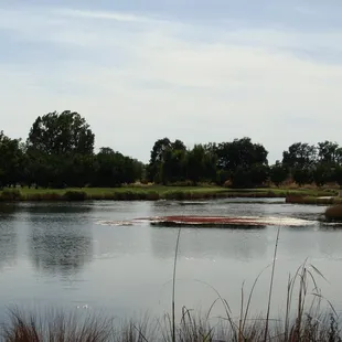Lake along Hole #3 (PAR 3) One of the hardest holes!