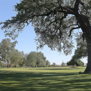 River Oaks Golf Club