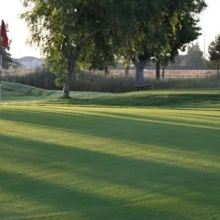 River Oaks Golf Course (Ceres, CA) - Morning after new aerification