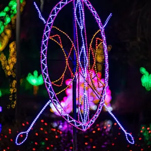 River Of Lights