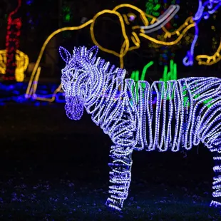 River of Lights at ABQ BioPark &amp; Botanic Garden - Albuquerque, NM