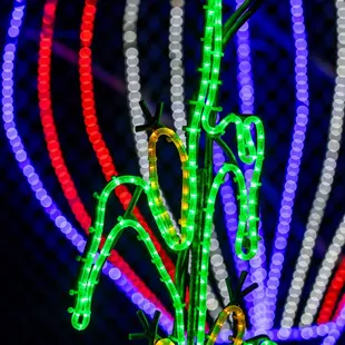 River of Lights at ABQ BioPark &amp; Botanic Garden - Albuquerque, NM