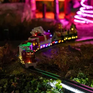 River of Lights at ABQ BioPark &amp; Botanic Garden