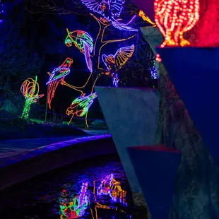 River of Lights at ABQ BioPark &amp; Botanic Garden