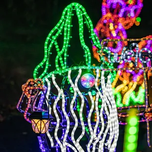 River of Lights at ABQ BioPark &amp; Botanic Garden