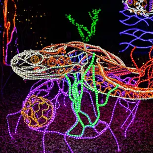 River of Lights at ABQ BioPark &amp; Botanic Garden