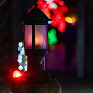 River of Lights at ABQ BioPark &amp; Botanic Garden