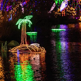 River of Lights at ABQ BioPark &amp; Botanic Garden