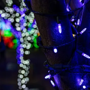 River of Lights at ABQ BioPark &amp; Botanic Garden - Albuquerque, NM