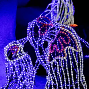 River of Lights at ABQ BioPark &amp; Botanic Garden