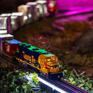 River of Lights at ABQ BioPark &amp; Botanic Garden