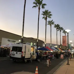 palm trees in the background