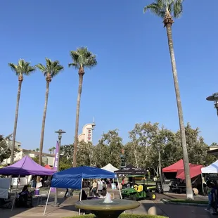 River Park Farmer's Market =)