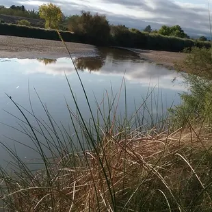 the water is going down