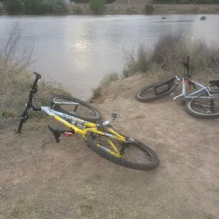 Taking a break to skip some rocks.