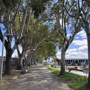The path goes under the Mare Island Bridge, past the Trolls Under the Bridge, and comes out at the Vallejo Marina.