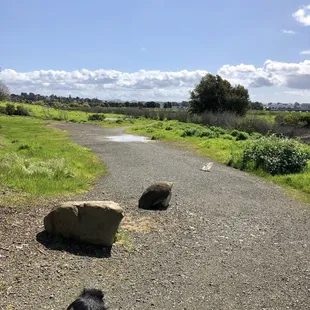 One entrance to the path from Daniels Ave