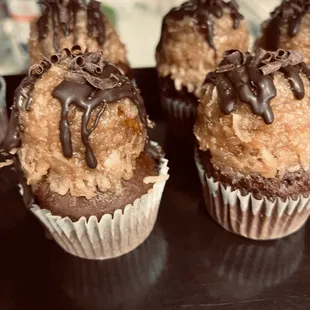 three cupcakes with chocolate drizzle on top