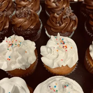 a tray of cupcakes