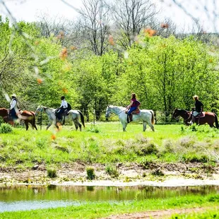 River Ranch Trail Rides