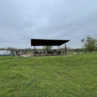 This is where the riders are matched with their horses