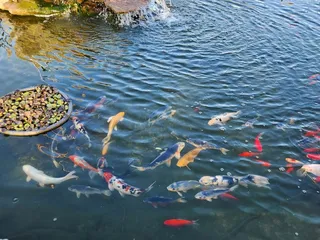 Whispering Hills RV Park