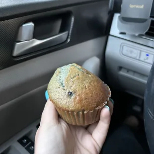 Blueberry muffin