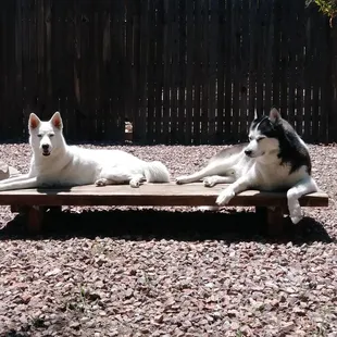 Emma &amp; Eli Cyrus